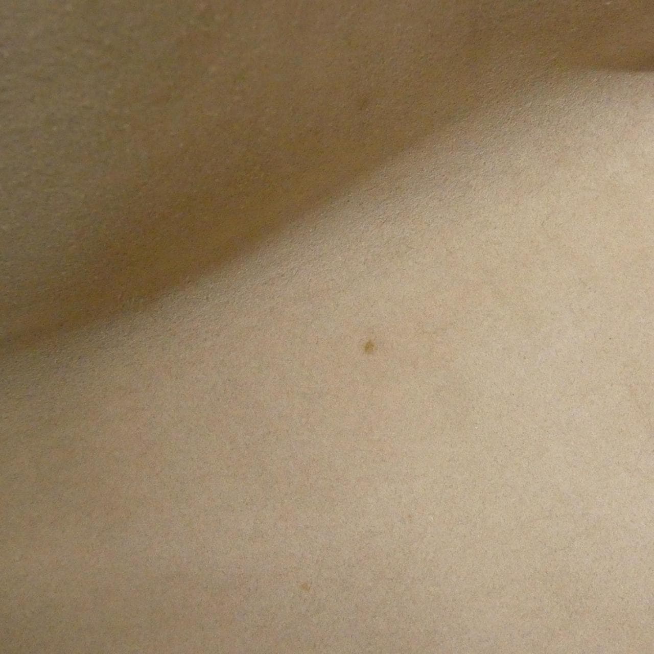 ルイヴィトン バイカラー モノグラム アンプラント オンザゴー MM M45494 バッグ