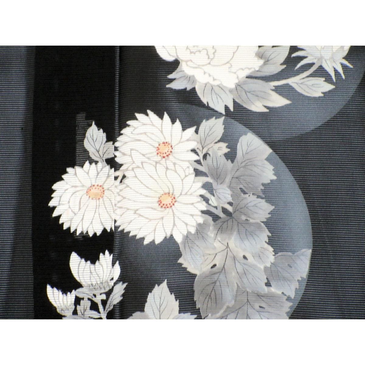 単衣　駒絽訪問着　友禅加工