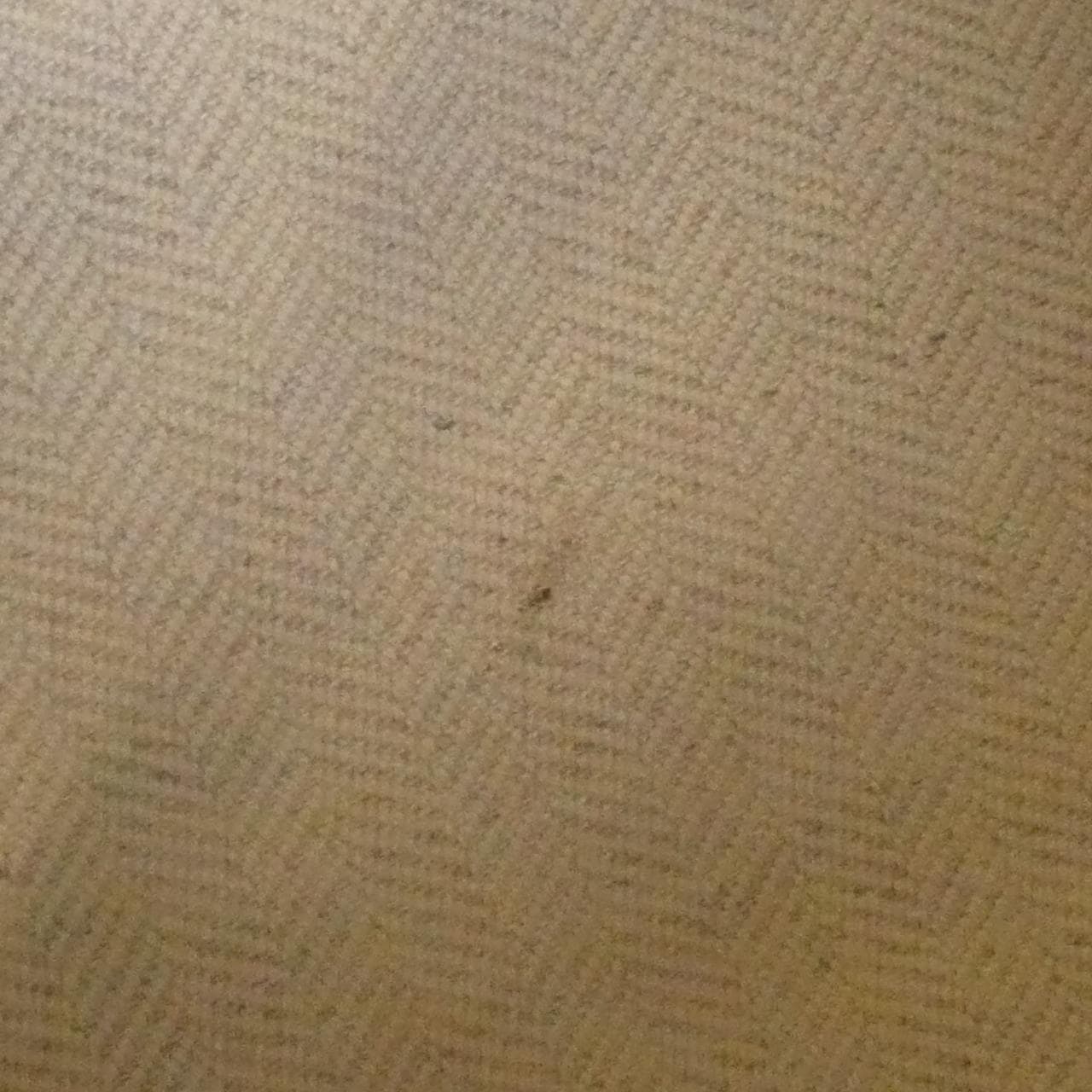 ロエベ ハンモック スモール 38712KBN60 ショルダーバッグ