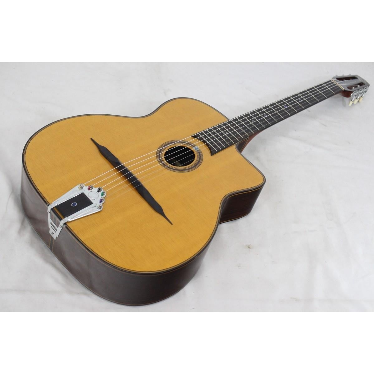 GITANE DG-310