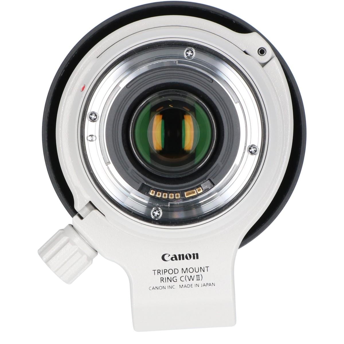 ＥＦ７０－３００ｍｍ　Ｆ４－５．６Ｌ　ＩＳ　ＵＳＭ