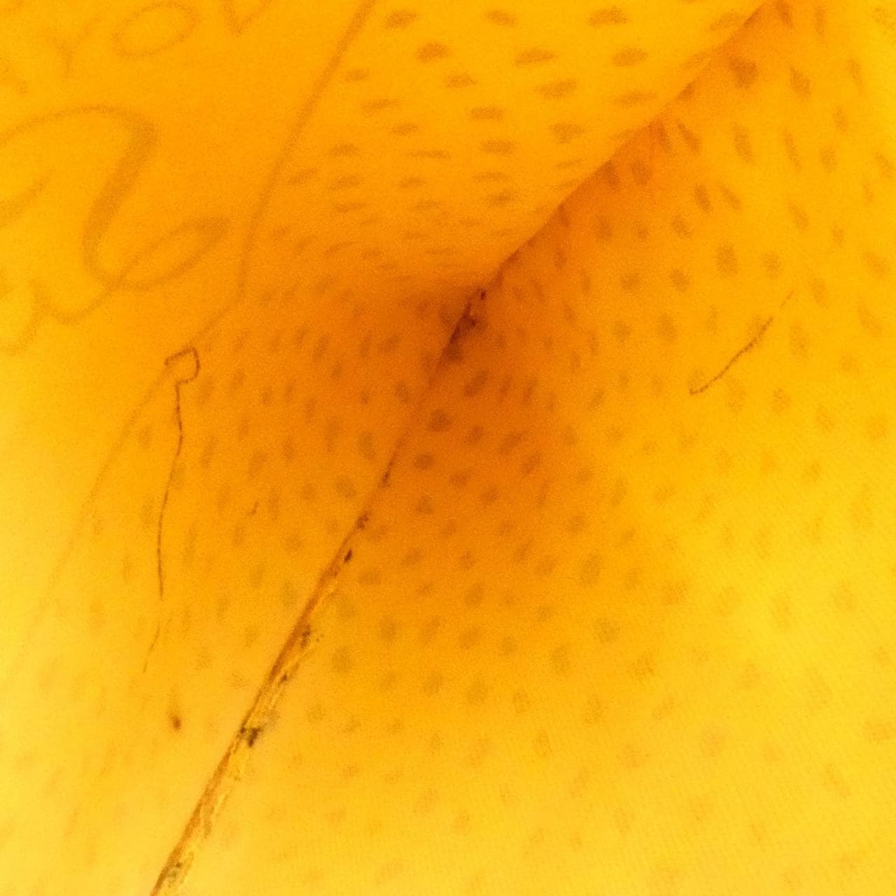 ルイヴィトン モノグラム ウェーブ(ヤヨイクサマ) ネヴァーフル MM M40685 バッグ