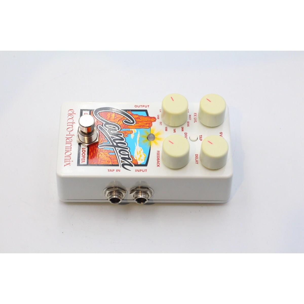 ＥＬＥＣＴＲＯ－ＨＡＲＭＯＮＩＸ　　ＣＡＮＹＯＮ　ＤＥＬＡＹ＆ＬＯＯＰＥＲ