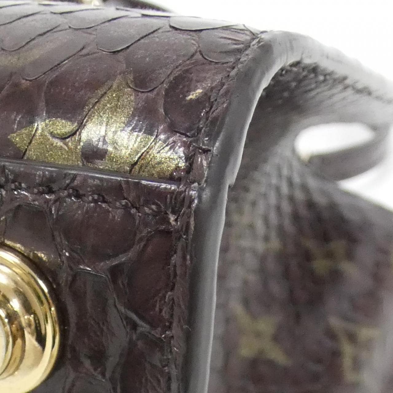 ルイヴィトン モノグラム+エキゾチックレザー シティ スティーマー　MINI バッグ