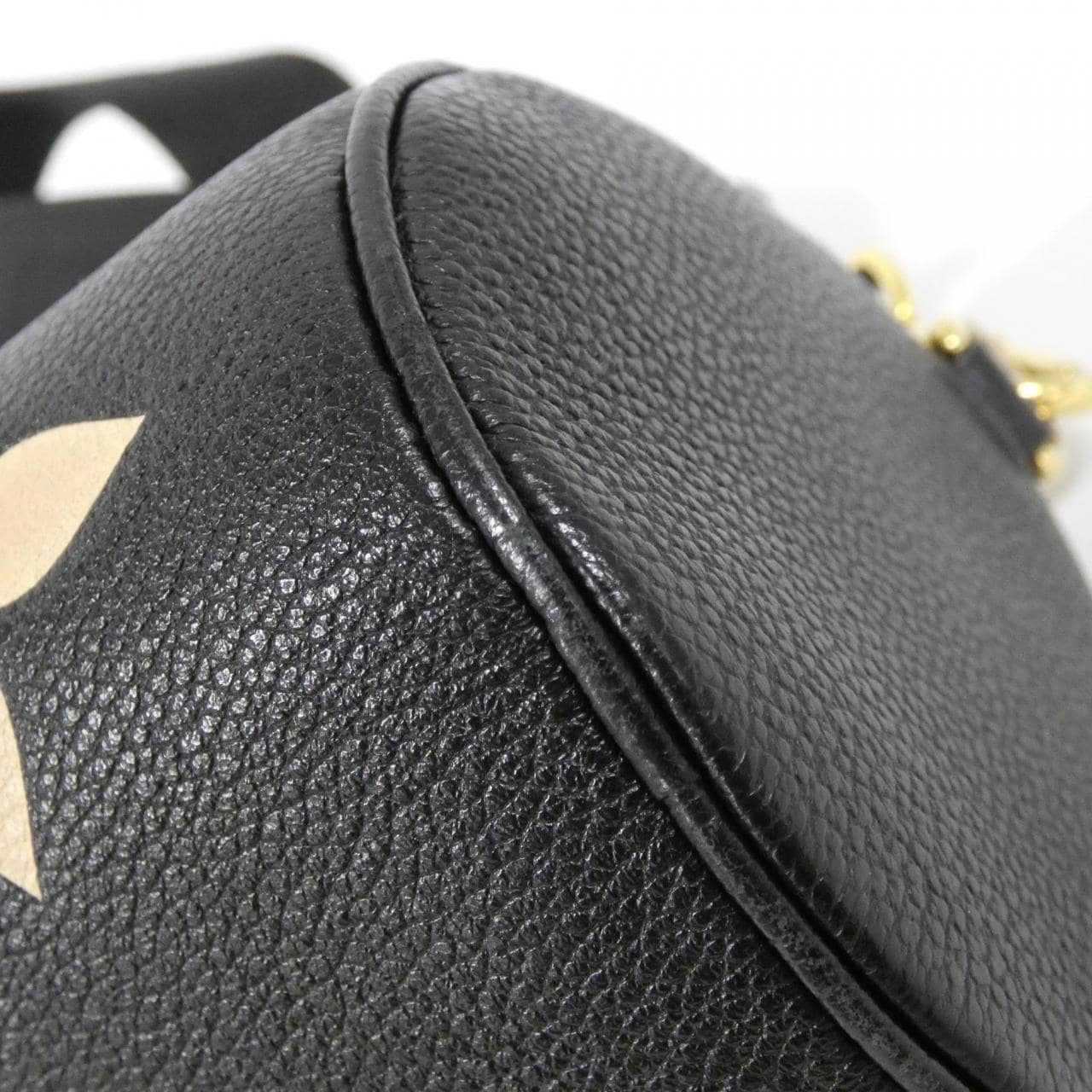 ルイヴィトン バイカラー モングラム アンプラント パピヨンBB M45980 ショルダーバッグ