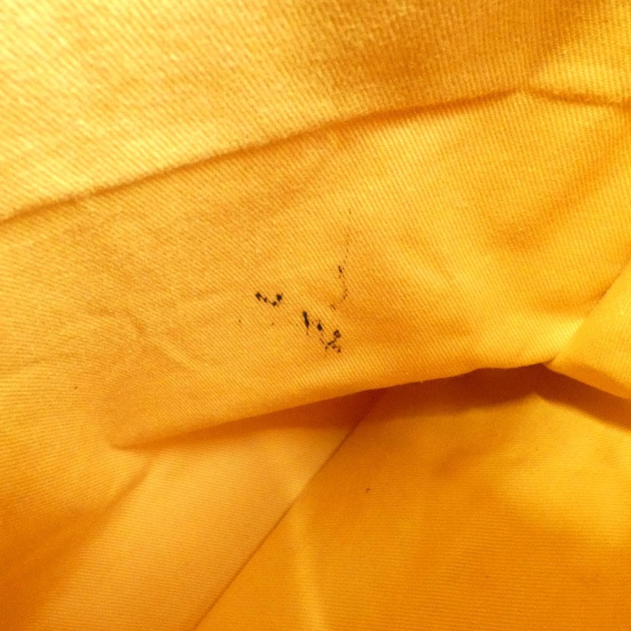 ゴヤール SAINT LUCIE AMA LUCIE バッグ