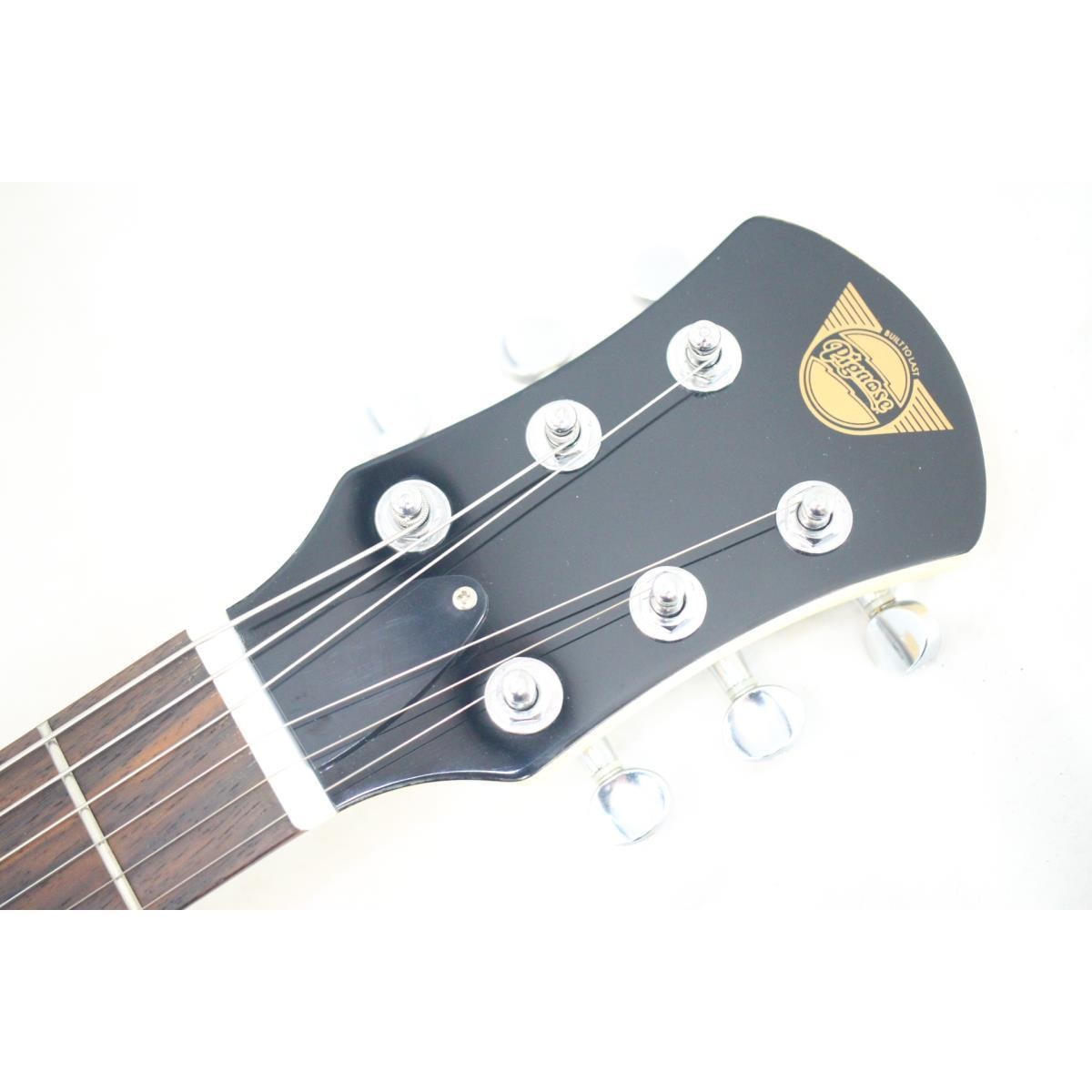 ＰＩＧＮＯＳＥ　　ＰＧＧ－２００ＦＭ