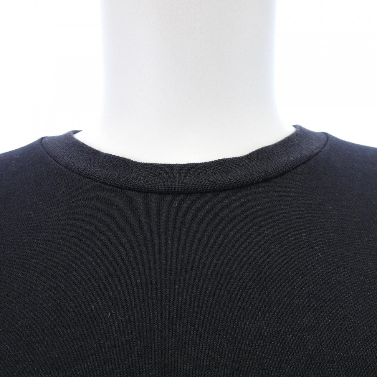 ザノースフェイス THE NORTH FACE NT32002R トマム限定 Tシャツ