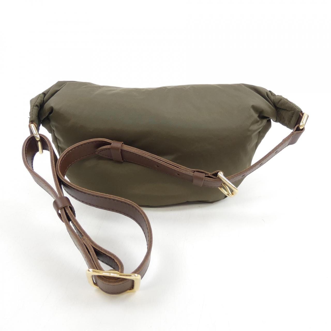 シータパランティカ sita parantica BAG