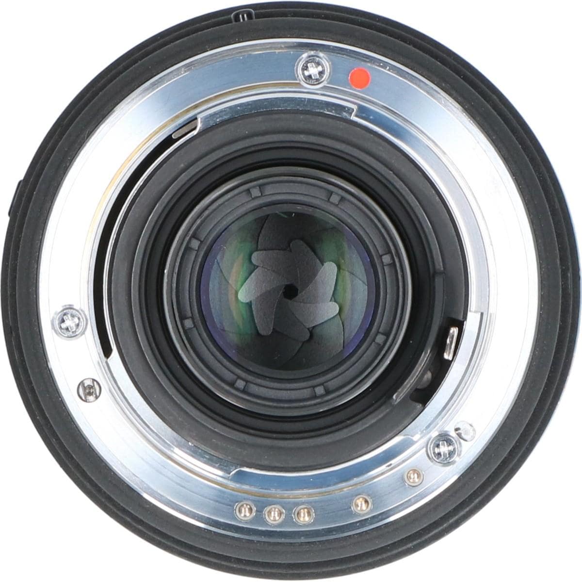 ペンタ５０ｍｍ　Ｆ２．８ＥＸ　ＤＧ　ＭＡＣＲＯ