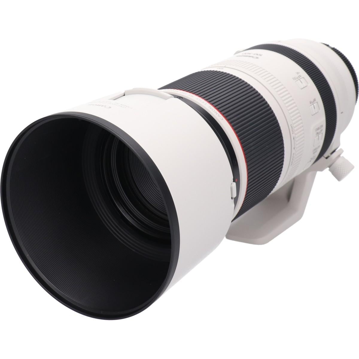 ＲＦ１００－５００ｍｍ　Ｆ４．５－７．１Ｌ　ＩＳ　ＵＳＭ