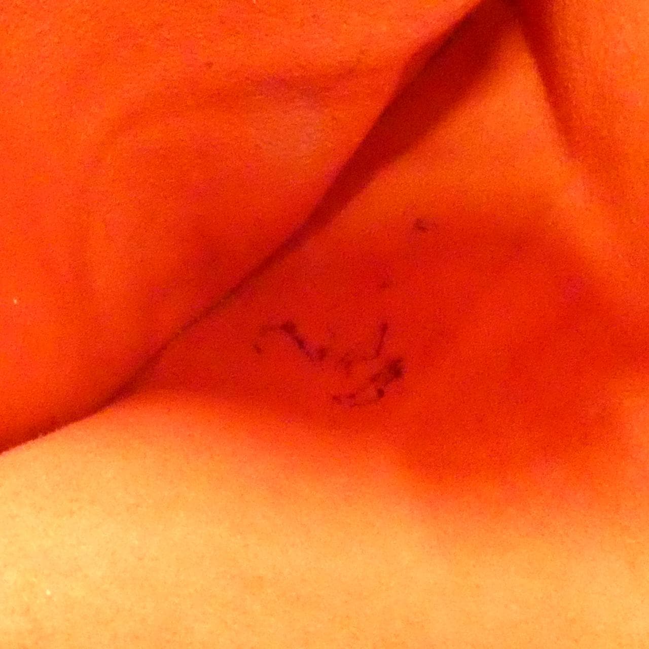 ルイヴィトン ダミエ ハムステッド MM N51204 バッグ