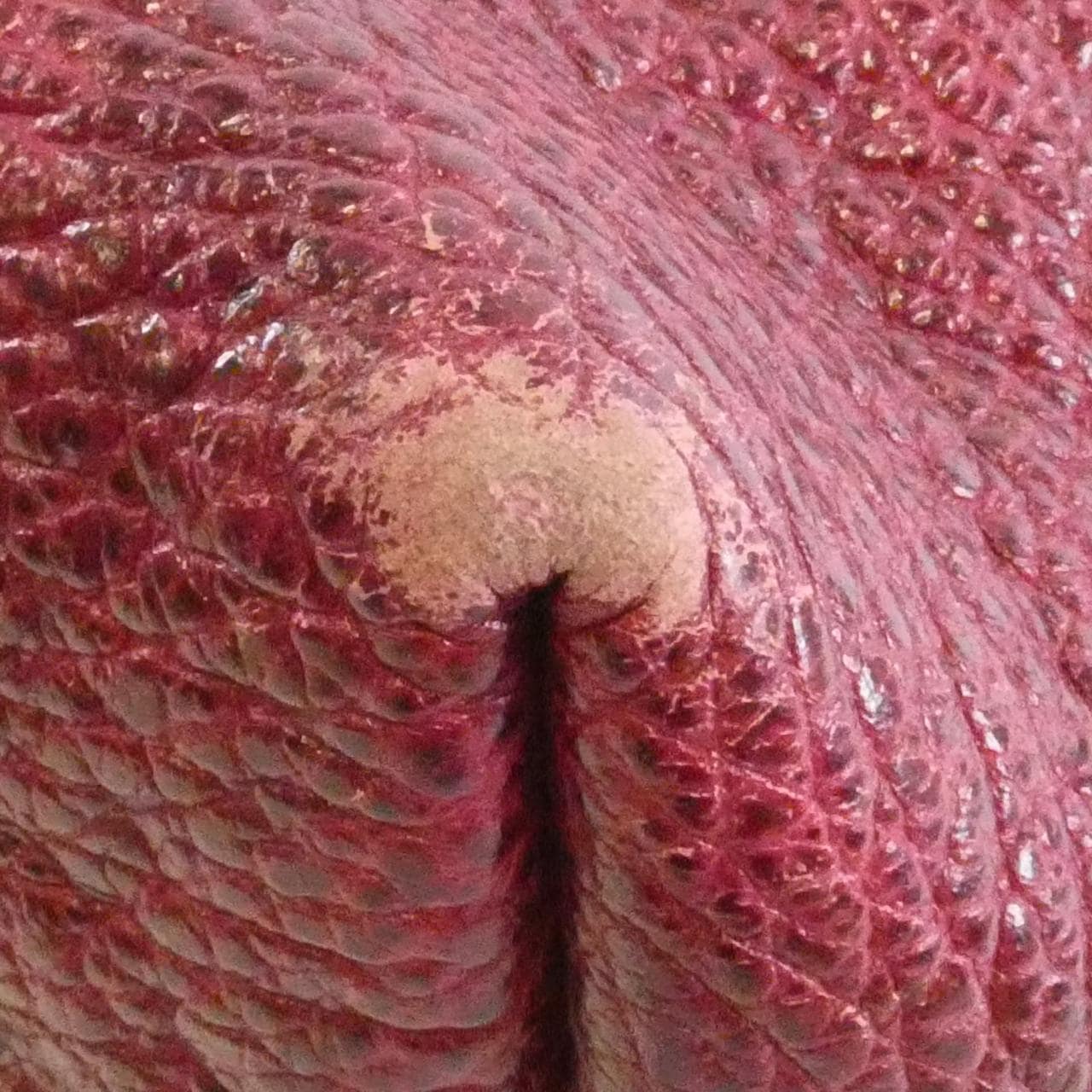 ルイヴィトン モノグラム ブロックス モノグラム ブロックス トート M40503 ショルダーバッグ