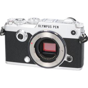 ＰＥＮ－Ｆ　シルバー
