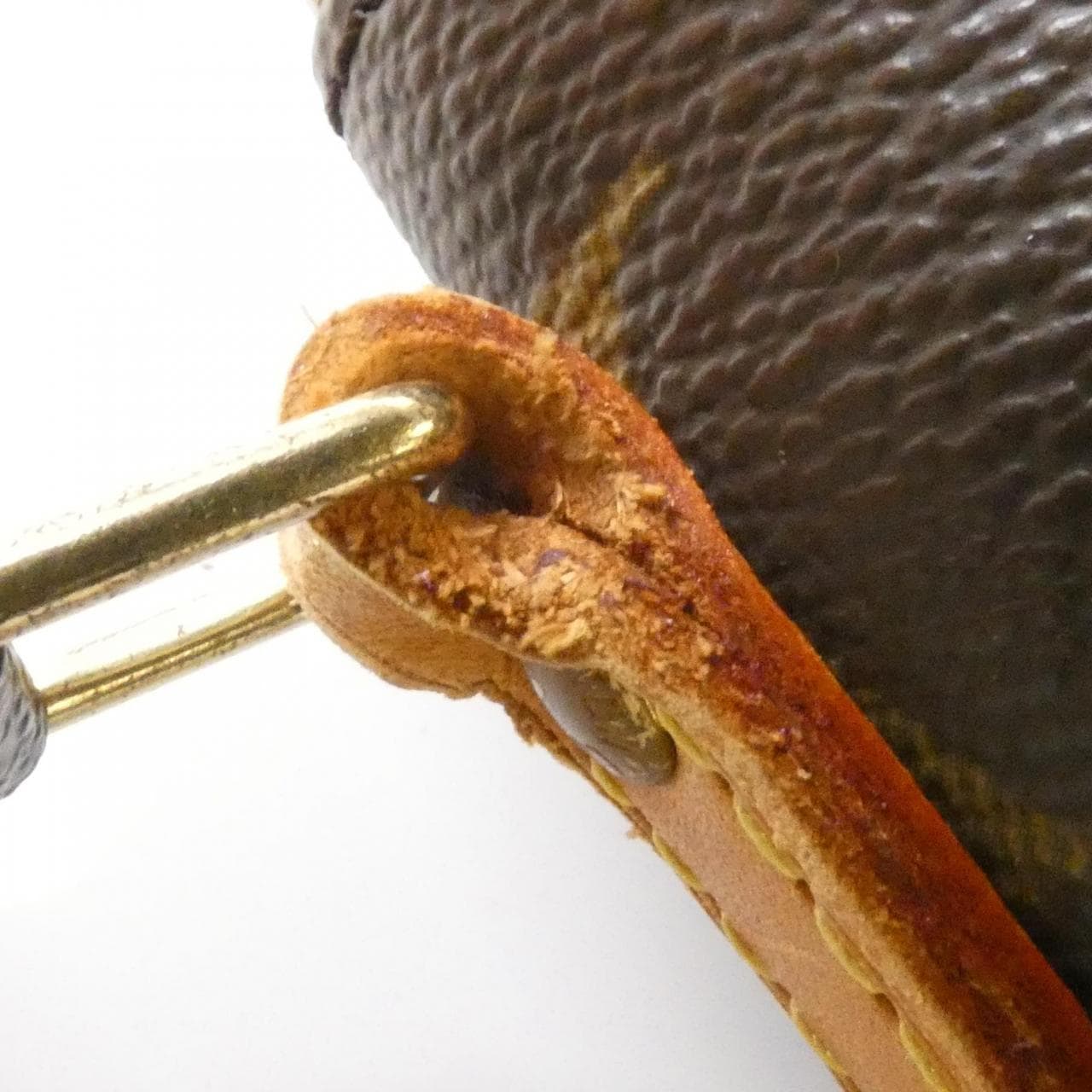 LOUIS VUITTON Monogram Amazon M45236 Shoulder Bag