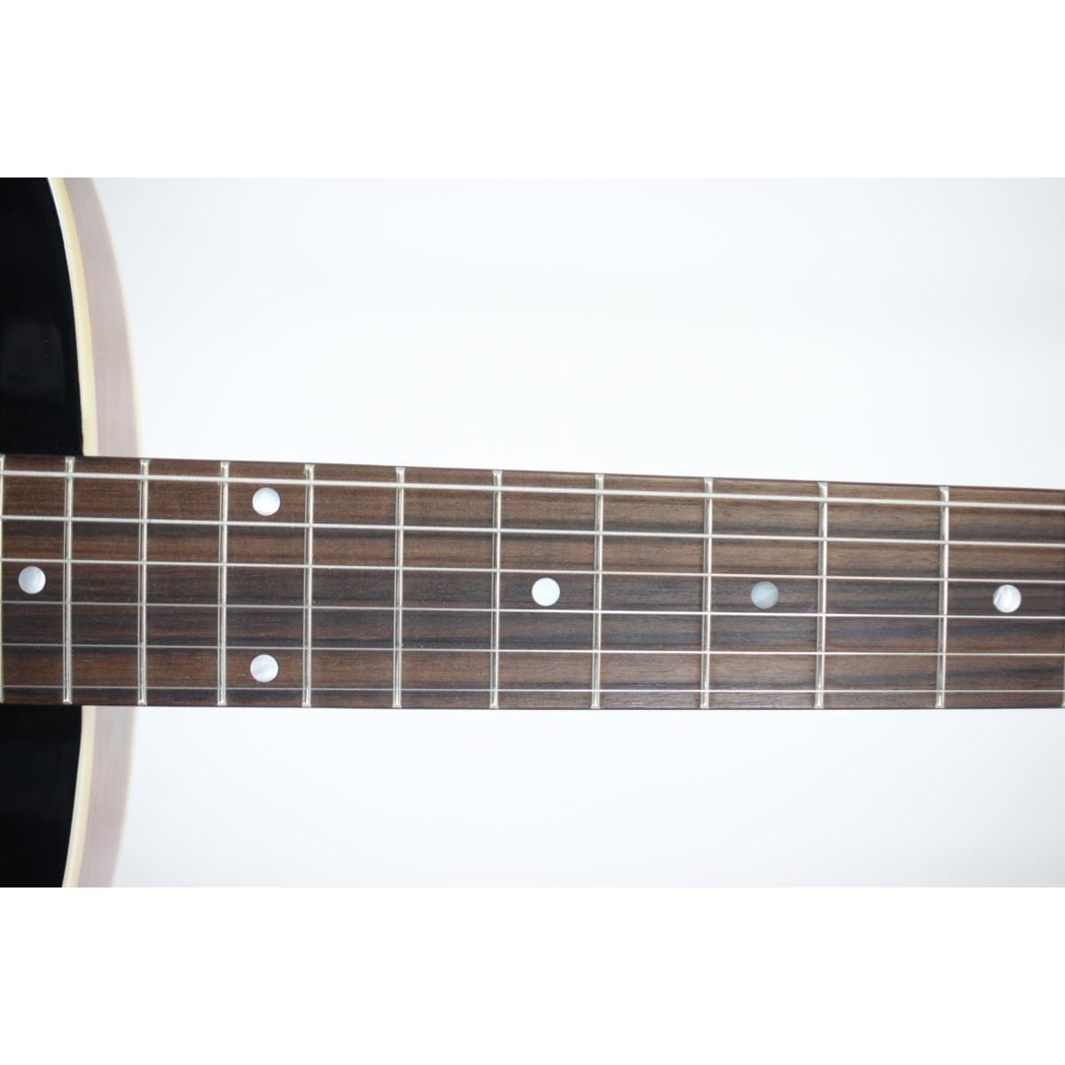 LOAR LH-301T