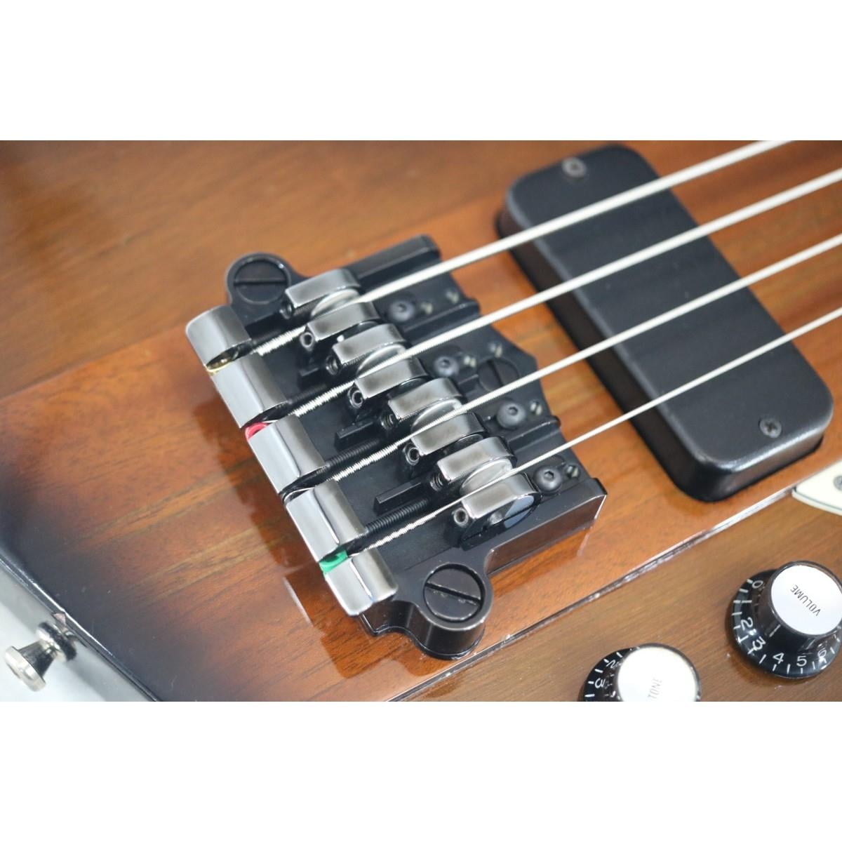 ＧＩＢＳＯＮ　　ＴＨＵＮＤＥＲＢＩＲＤ