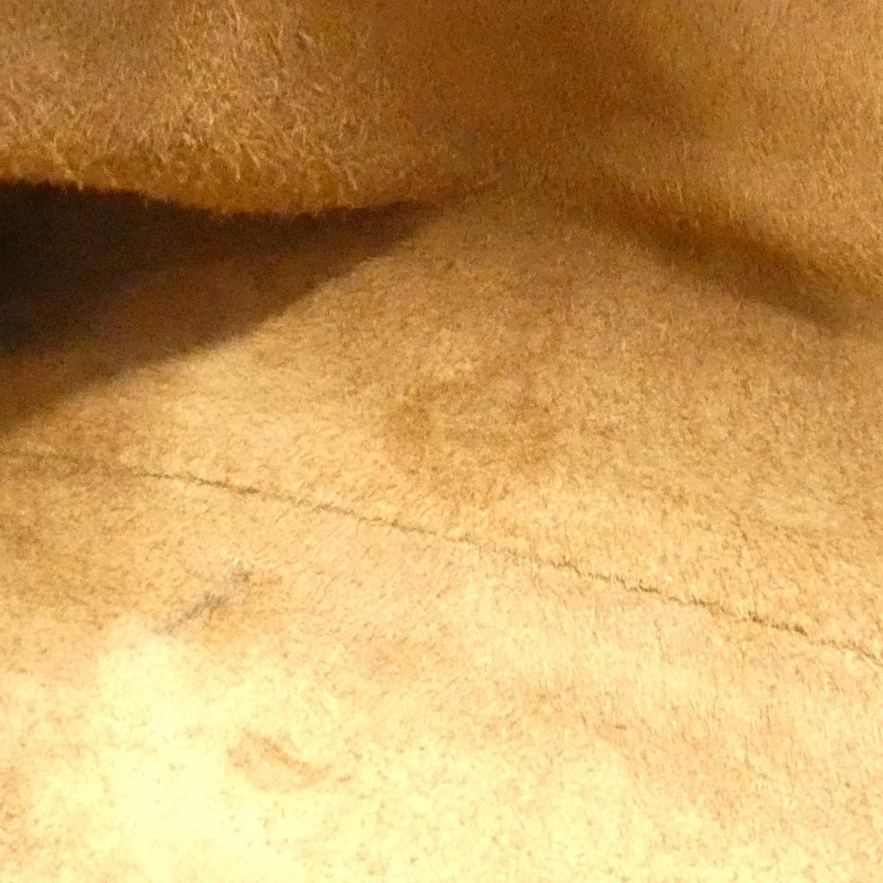 ボッテガヴェネタ バッグ