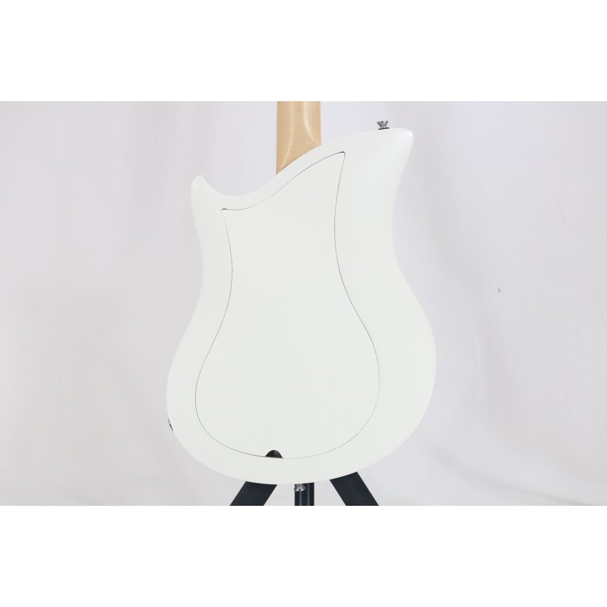 ＲＥＬＩＳＨ　ＧＵＩＴＡＲＳ　ＳＮＯＷ　ＪＡＮＥ