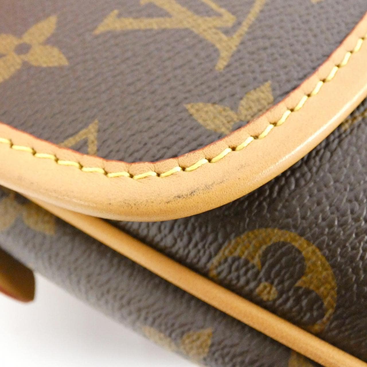 LOUIS VUITTON Monogram Diane PM M46049 单肩包