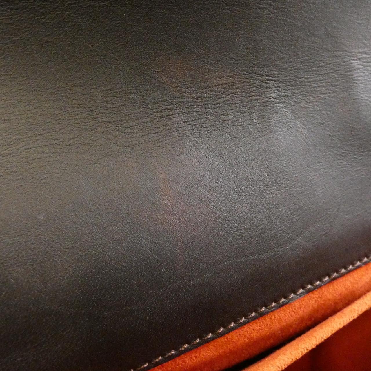 LOUIS VUITTON Damier Sauvage Lion M92131 包