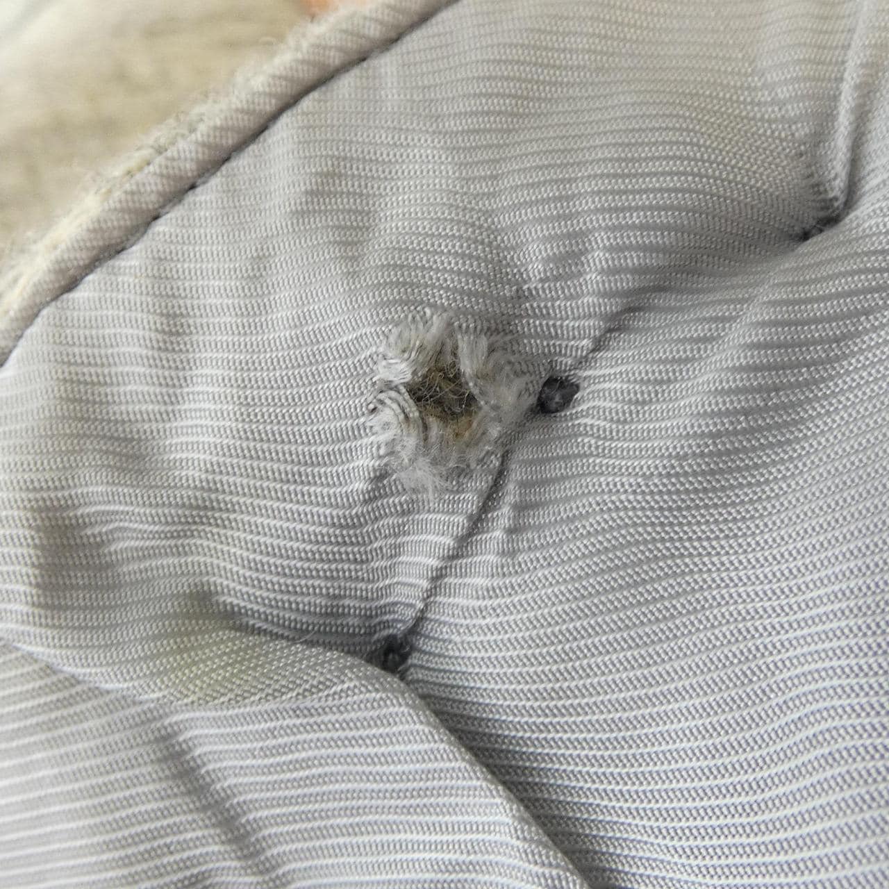 リングジャケット RING JACKET ジャケット