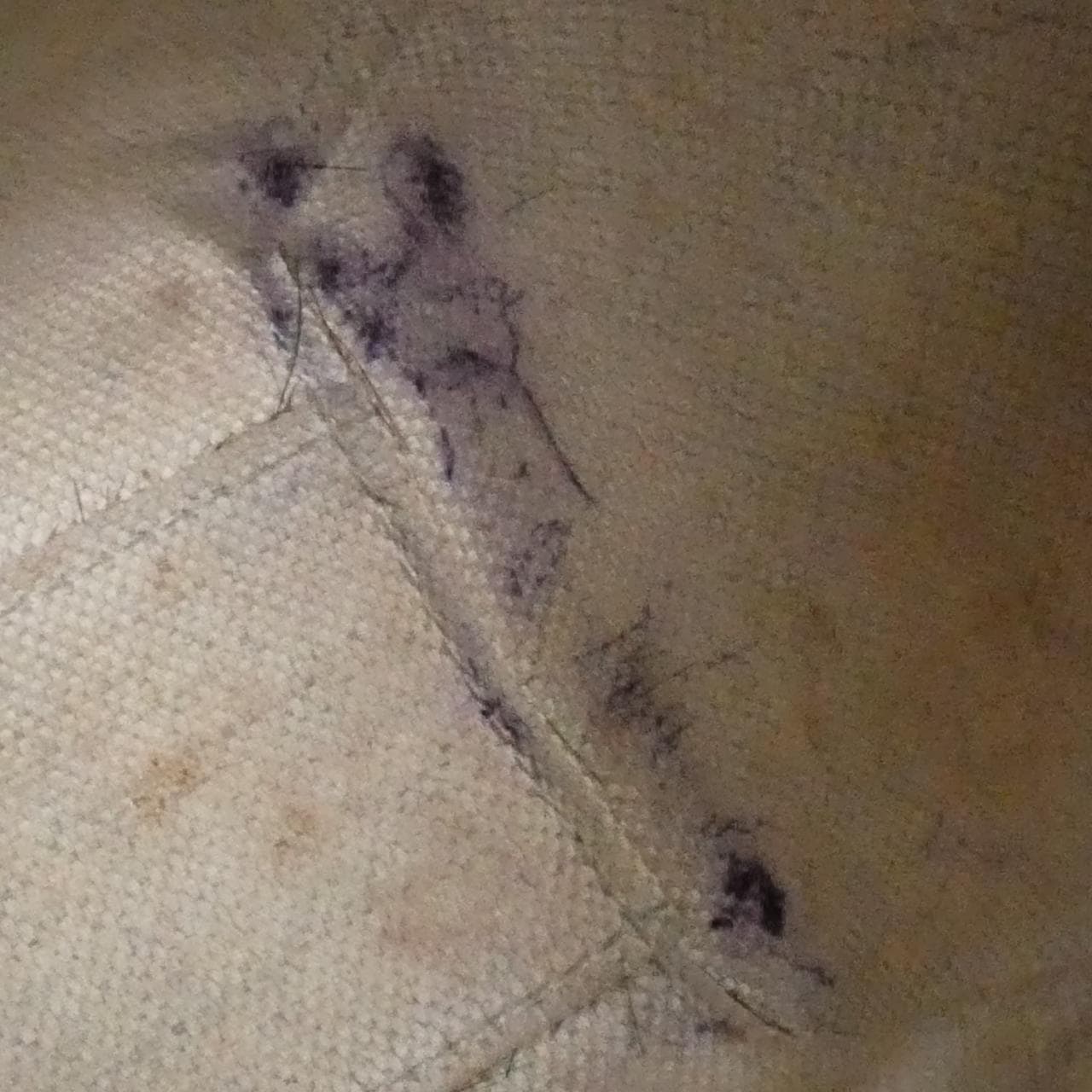 グッチ 696010 FAA5B バッグ