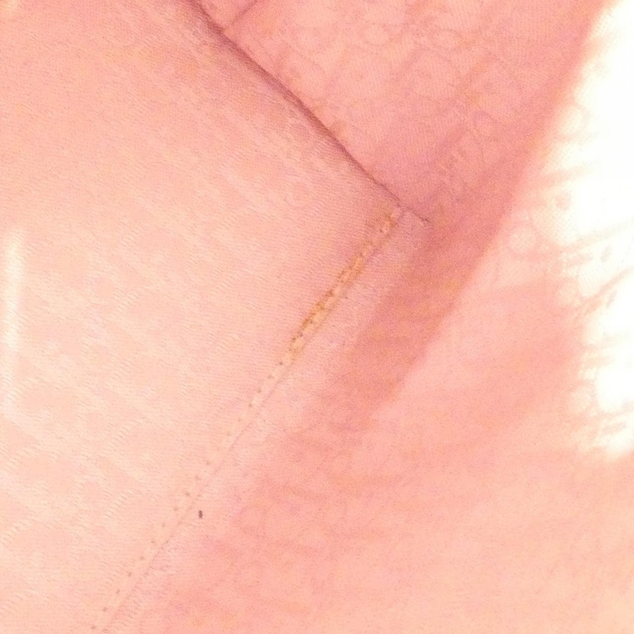 クリスチャンディオール PEB44551 バッグ