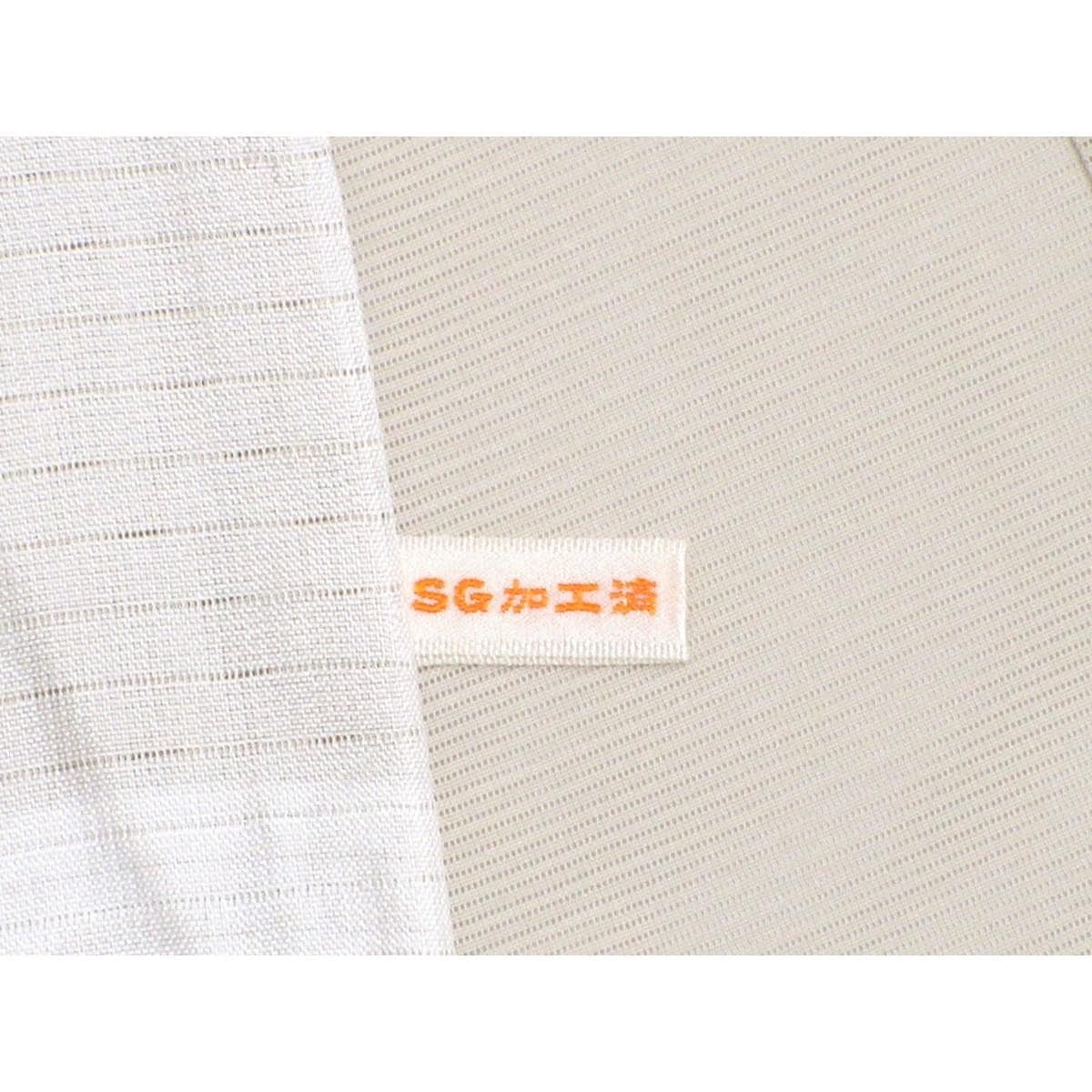 単衣　【翠山工房】駒絽訪問着　身幅２Ｌ寸