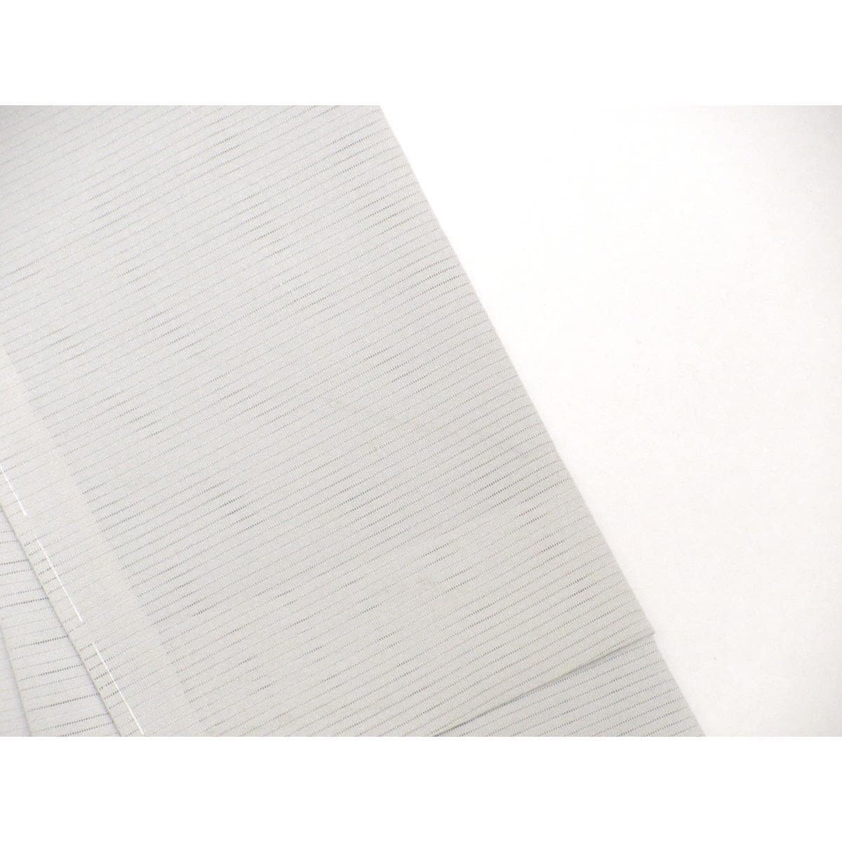 【未使用品】単衣　駒絽訪問着　友禅金彩加工　刺繍入りボカシ染