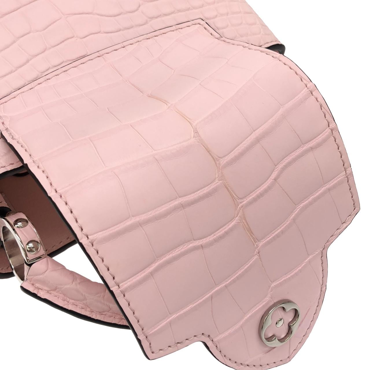 ルイヴィトン エキゾチック　レザー カプシーヌ MINI N83158 バッグ