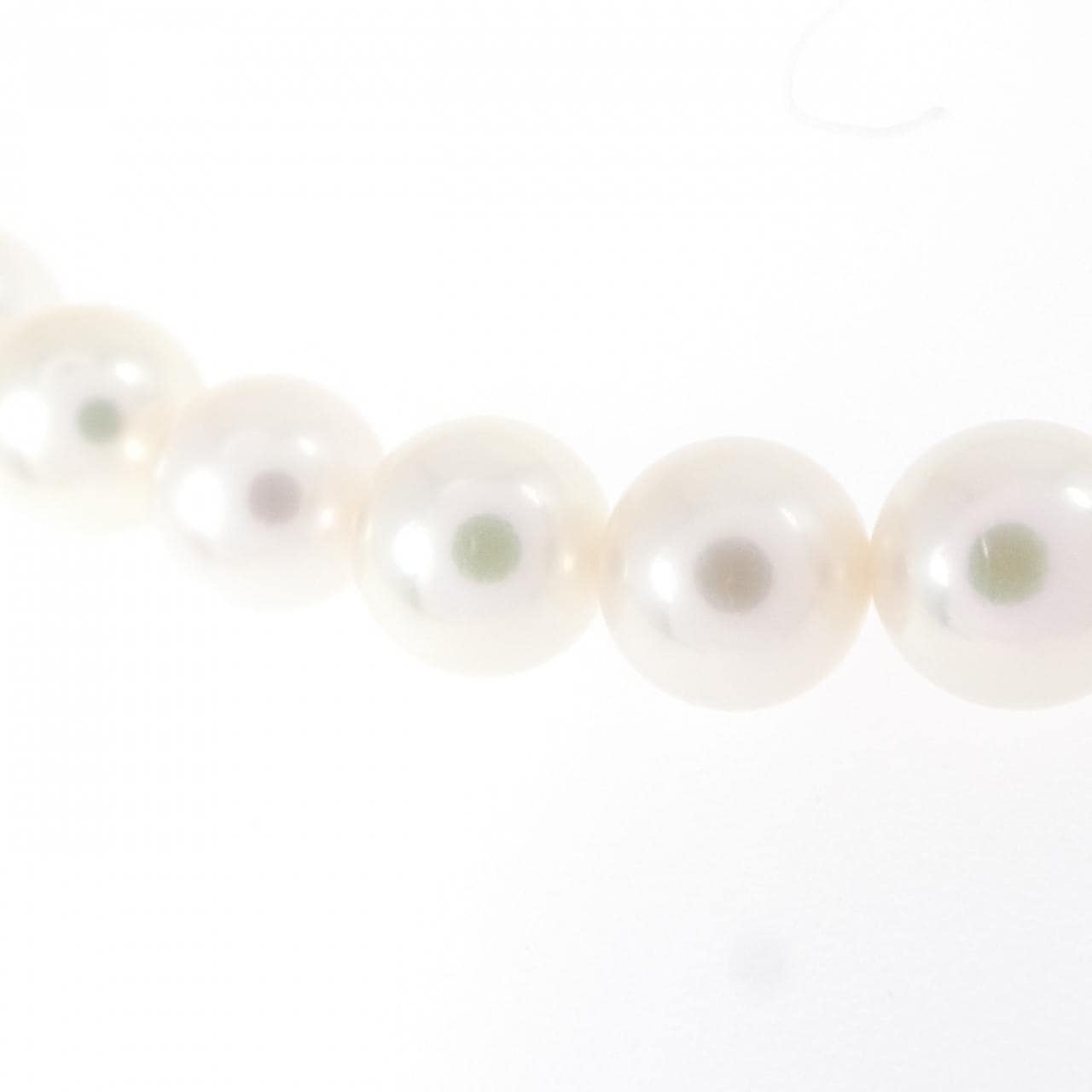 シルバークラスプ アコヤパール ネックレス 6-6.5mm