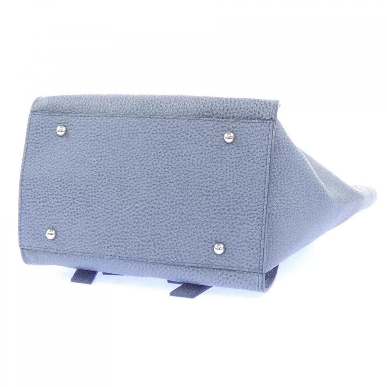 nagatani BAG