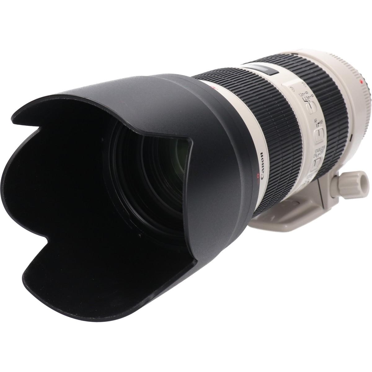 ＥＦ７０－２００ｍｍ　Ｆ２．８Ｌ　ＩＳＩＩ　ＵＳＭ