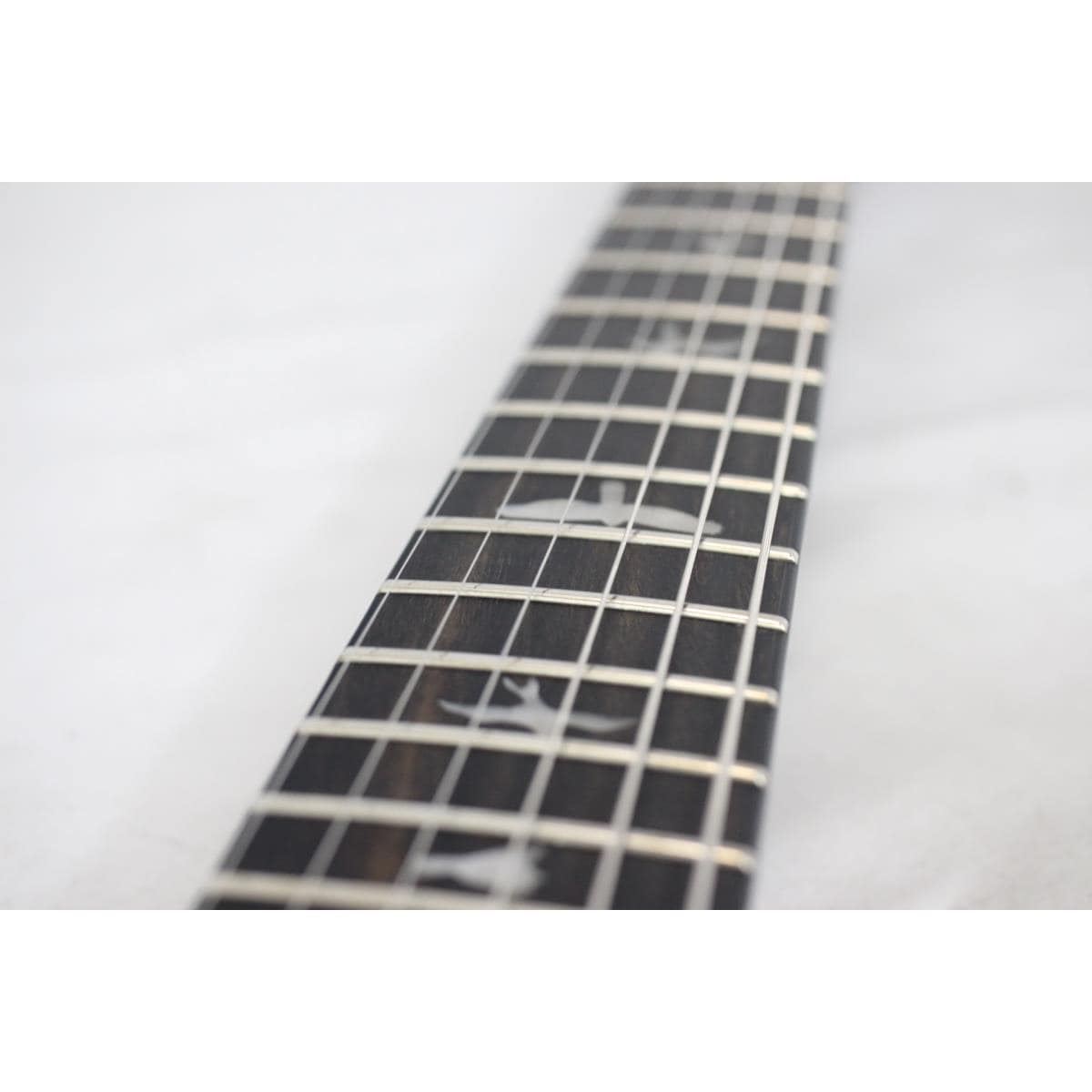 ＰＡＵＬ　ＲＥＥＤ　ＳＭＩＴＨ　　ＳＥ　ＣＵＳＴＯＭ　２４　ＦＬＯＹＤ／ＬＨ