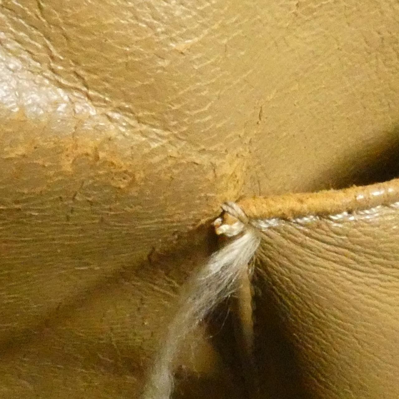 シャネル 1804 バッグ
