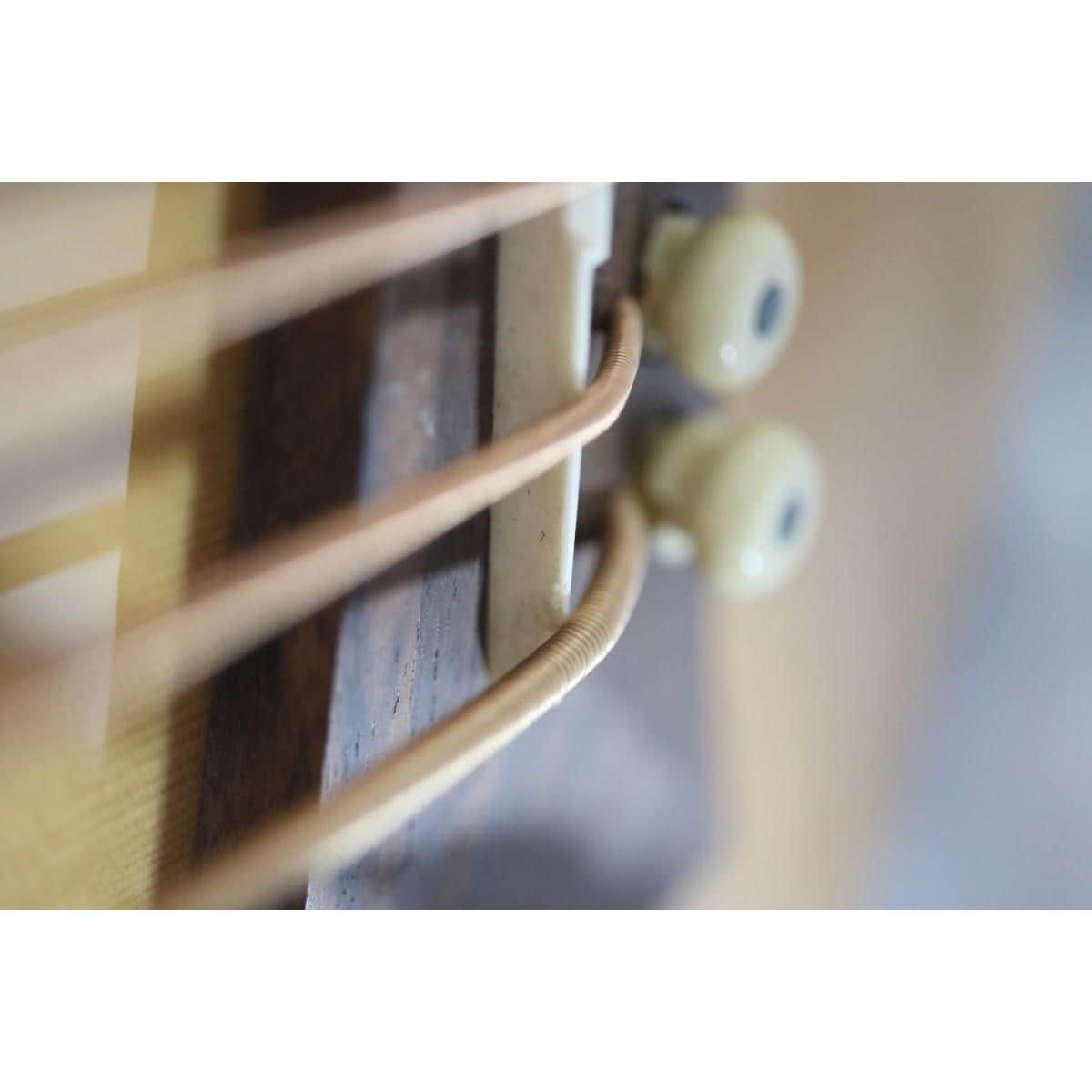 ＷＡＲＷＩＣＫ　　ＡＬＩＥＮ　ＤＥＬＵＸＥ　５