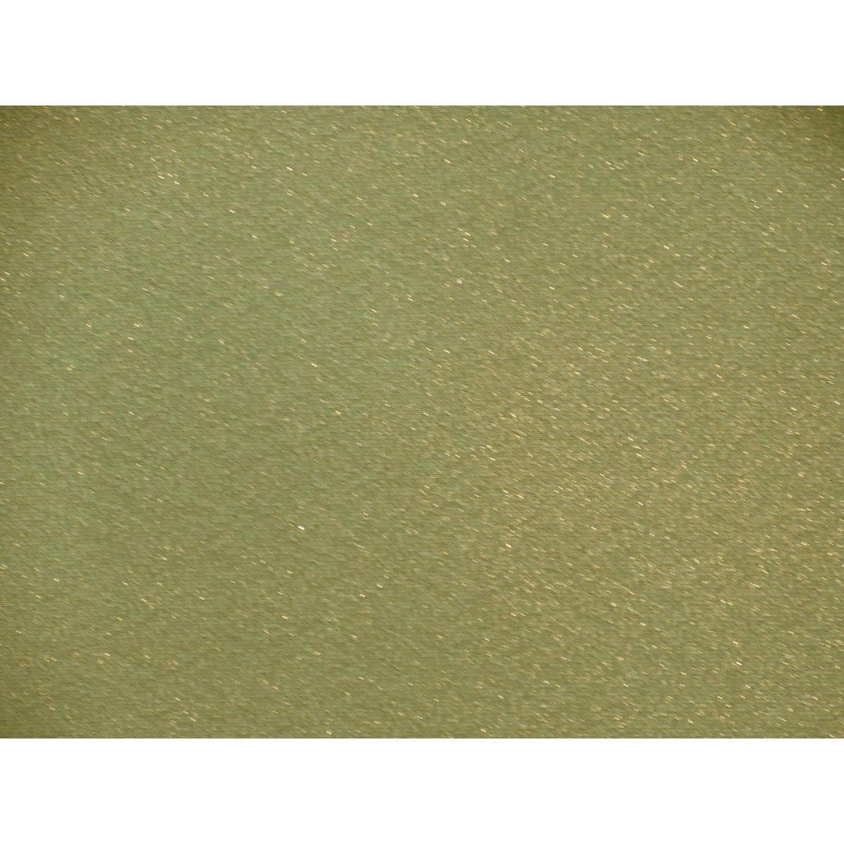 【未使用品】色無地　金彩加工