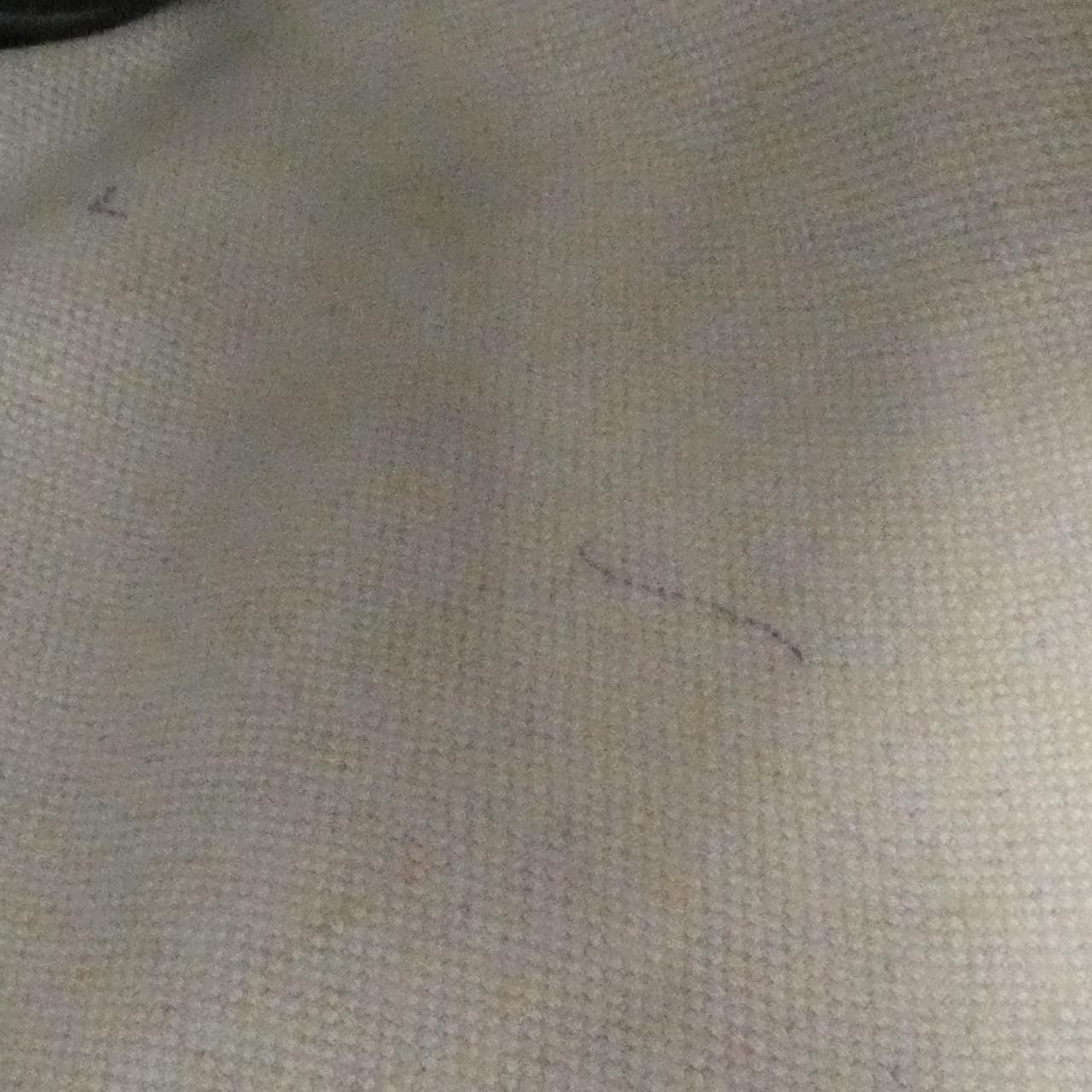 ゴヤール サン ルイ PM AMA LOUIS PM バッグ