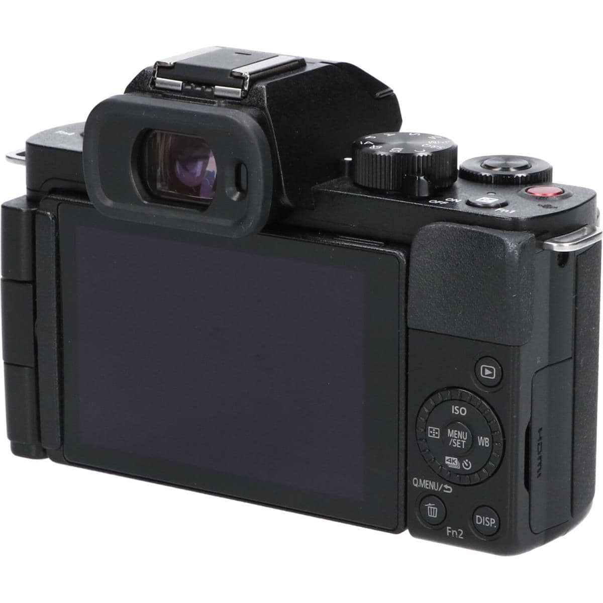 Panasonic DC-G100