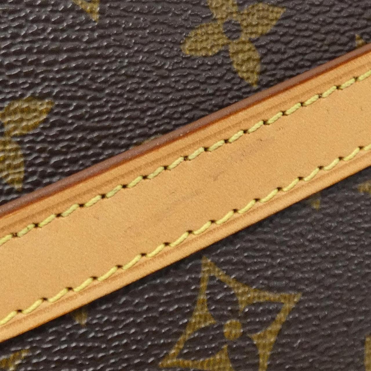 LOUIS VUITTON Monogram Danube M45266 單肩包