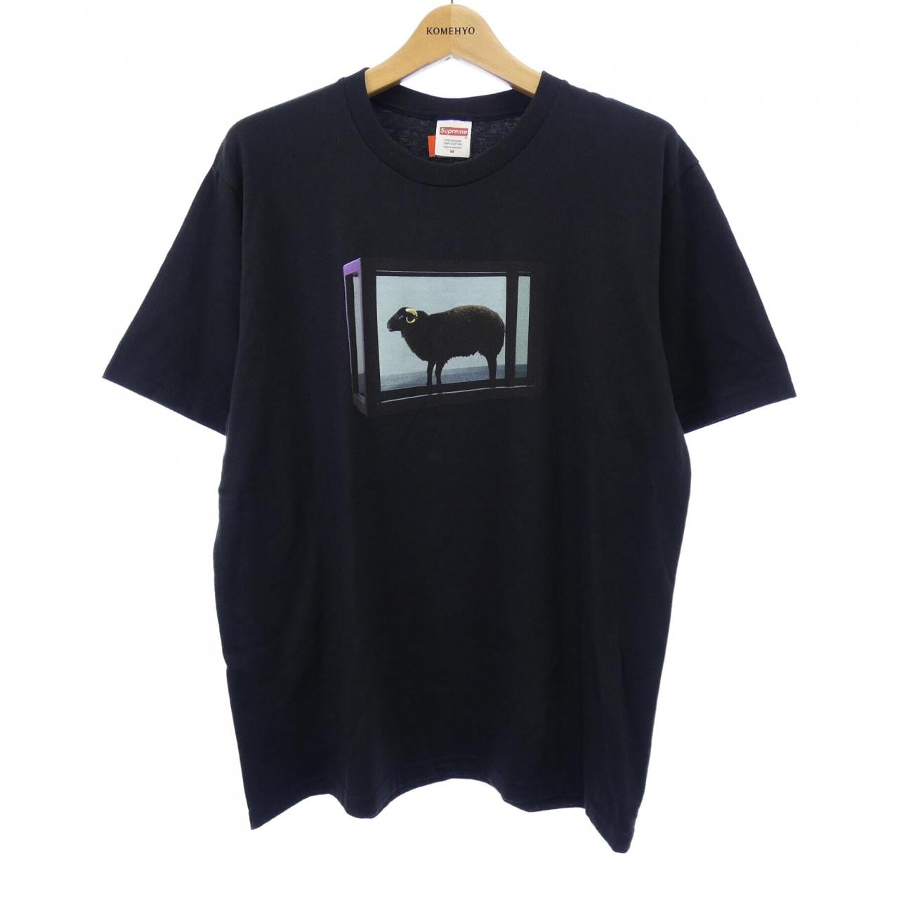 シュプリーム SUPREME Tシャツ