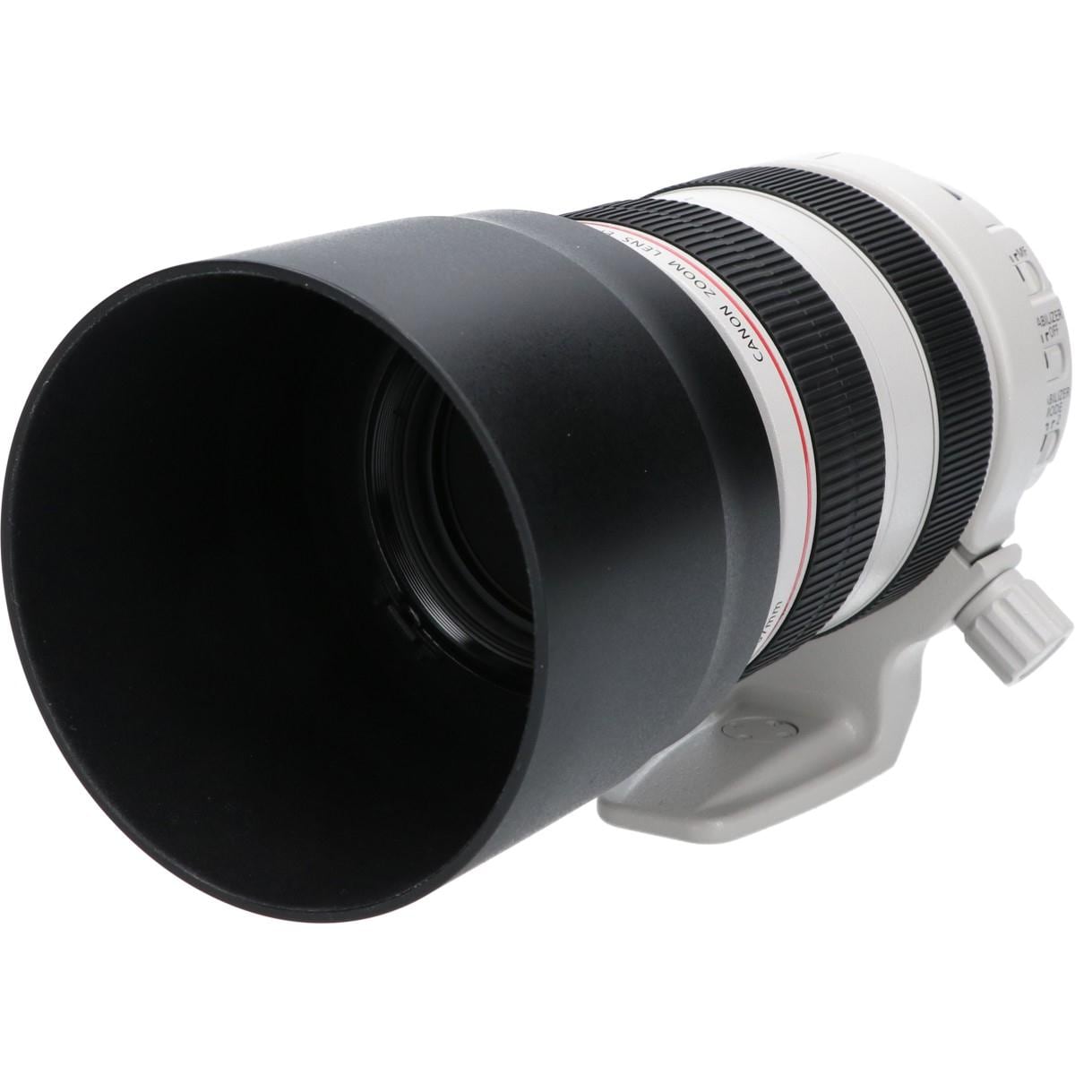 ＥＦ７０－３００ｍｍ　Ｆ４－５．６Ｌ　ＩＳ　ＵＳＭ