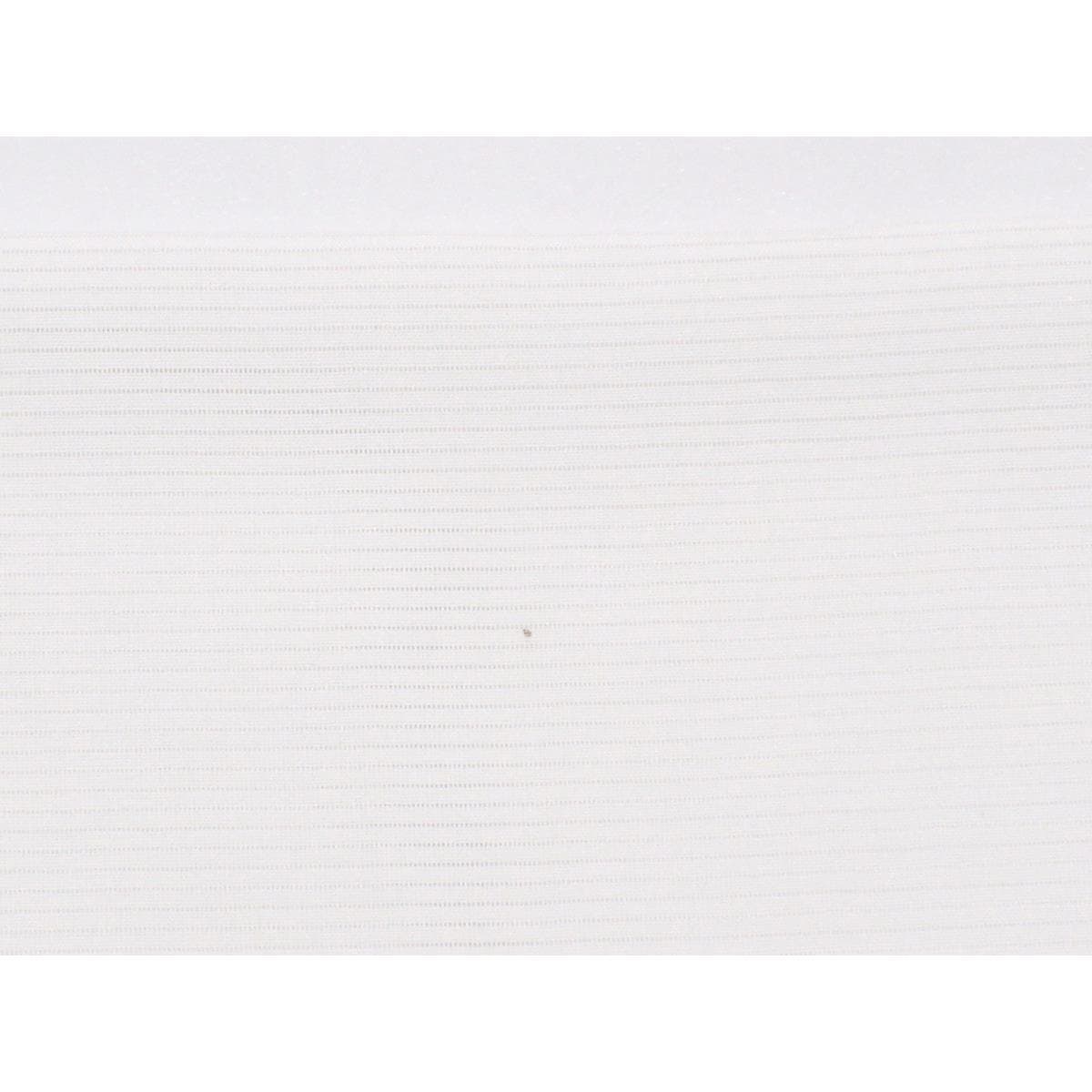 【未使用品】単衣　駒絽訪問着　銀彩友禅