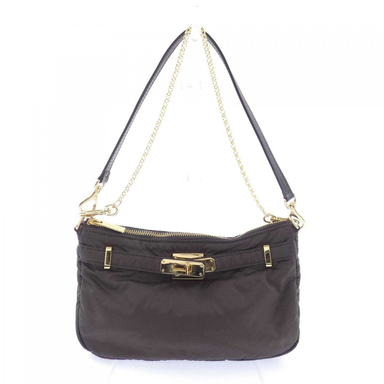 シータパランティカ sita parantica BAG