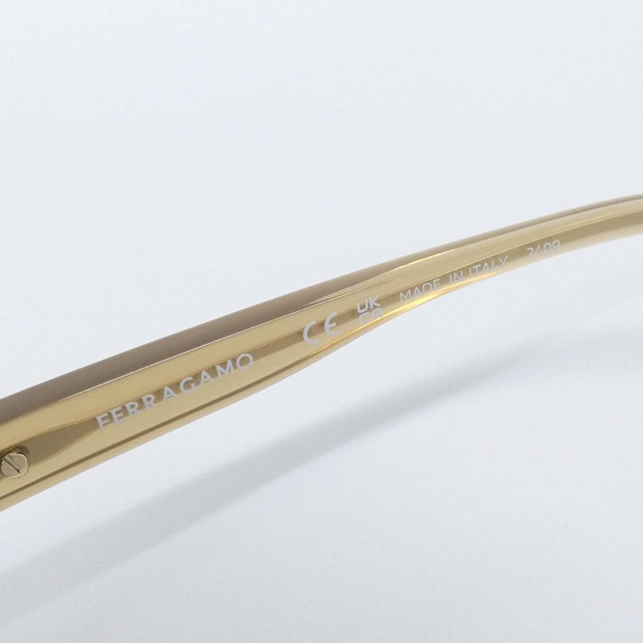 【新品】サルヴァトーレフェラガモ SF2053SLBK サングラス