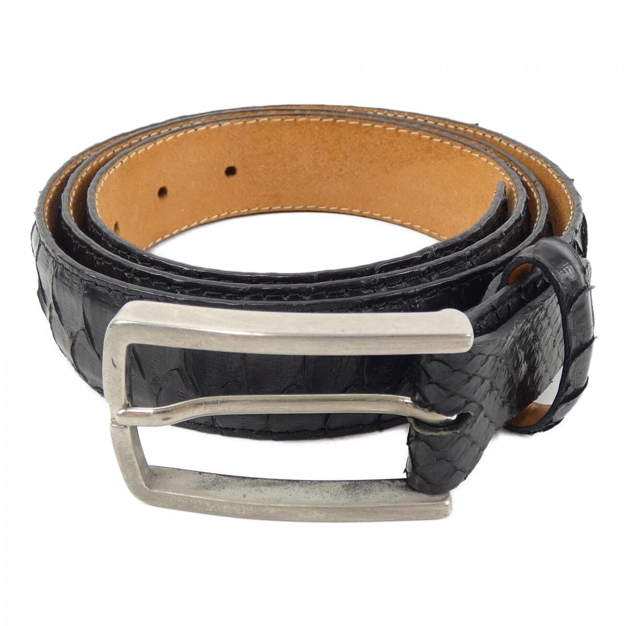 Reptiles House BELT