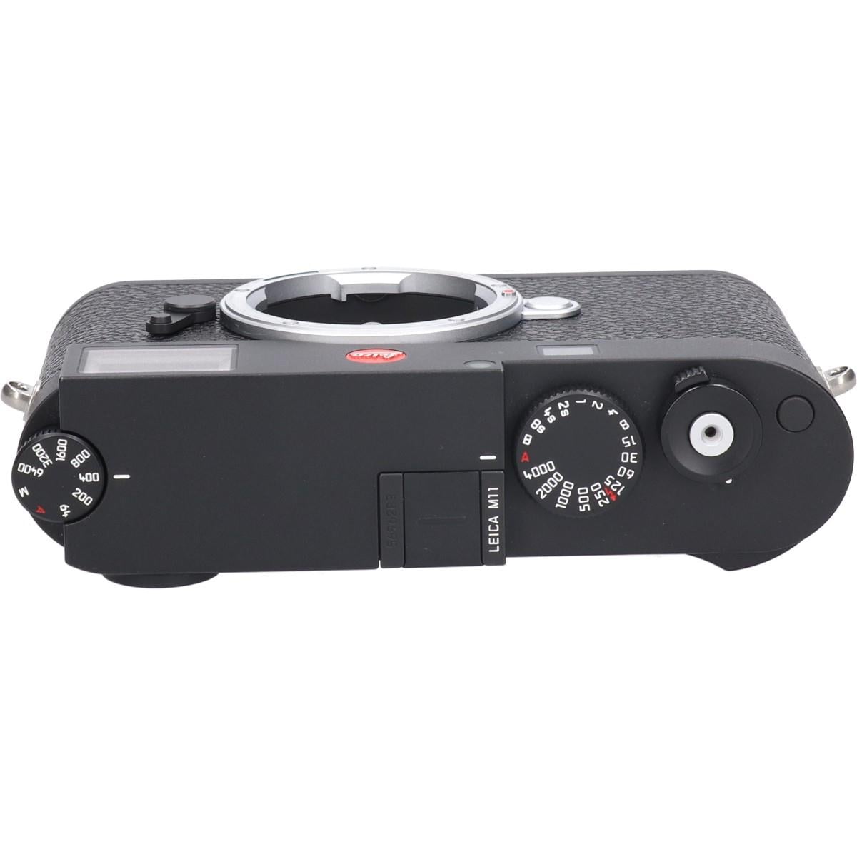 Ｍ１１　ブラックペイント