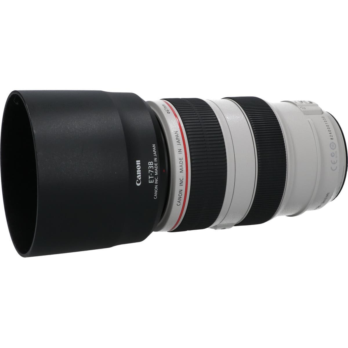 CANON EF70-300mm F4-5.6L IS USM