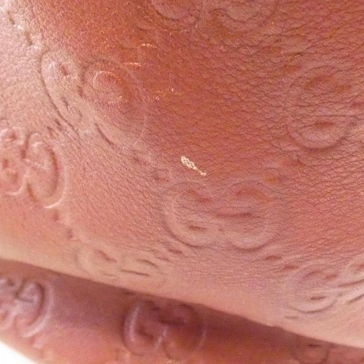 グッチ 207291 バッグ